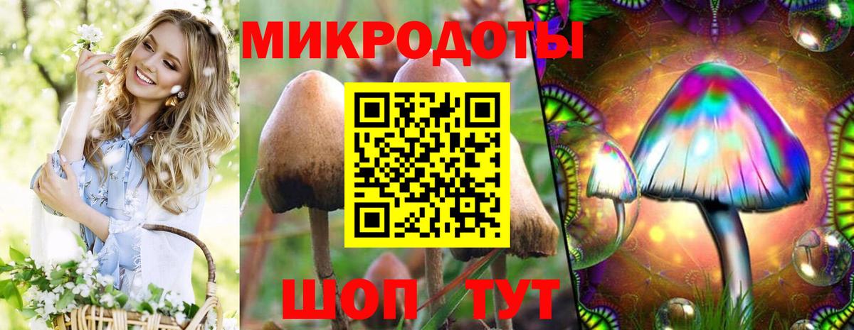 Псилоцибиновые грибы Magic Shrooms  Вход с VPN  Галлюциногенные грибы мухоморы  Джанкой 