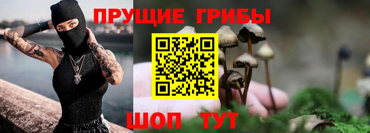 Псилоцибиновые грибы мицелий Джанкой