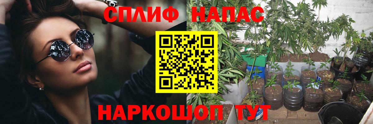 Каннабис индика  Шишки марихуана SATIVA & INDICA  МАРИХУАНА семена  Джанкой  Вход с VPN 